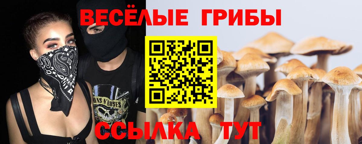 Галлюциногенные грибы Magic Shrooms  Галлюциногенные грибы прущие грибы  Тайшет  Вход с VPN 